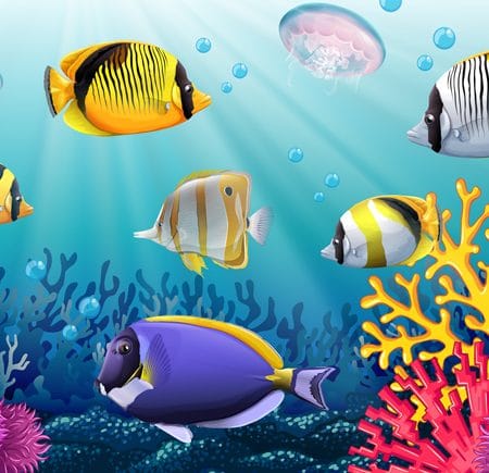 Hướng dẫn cách chơi game bắn cá online đổi thưởng cho các game thủ